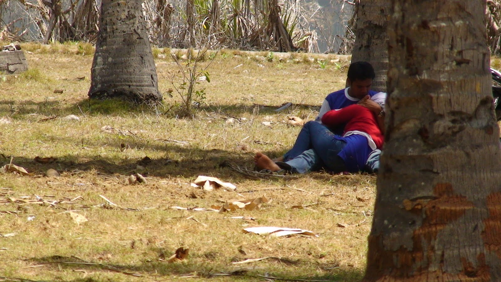 Hijab Indo Viral Indo Aku Mainin Putingnya Dari Belakang Kebun Sawit Top Global Wikwik 2026